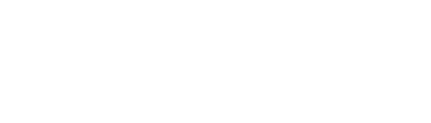 Full Services